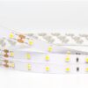 ALIGN LED RIBBON S3528L60V24 4.8W-1